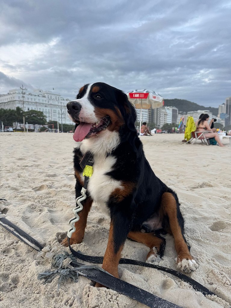 Leme/Copacabana: Il Tuo Paradiso a 50m dalla Spiaggia!