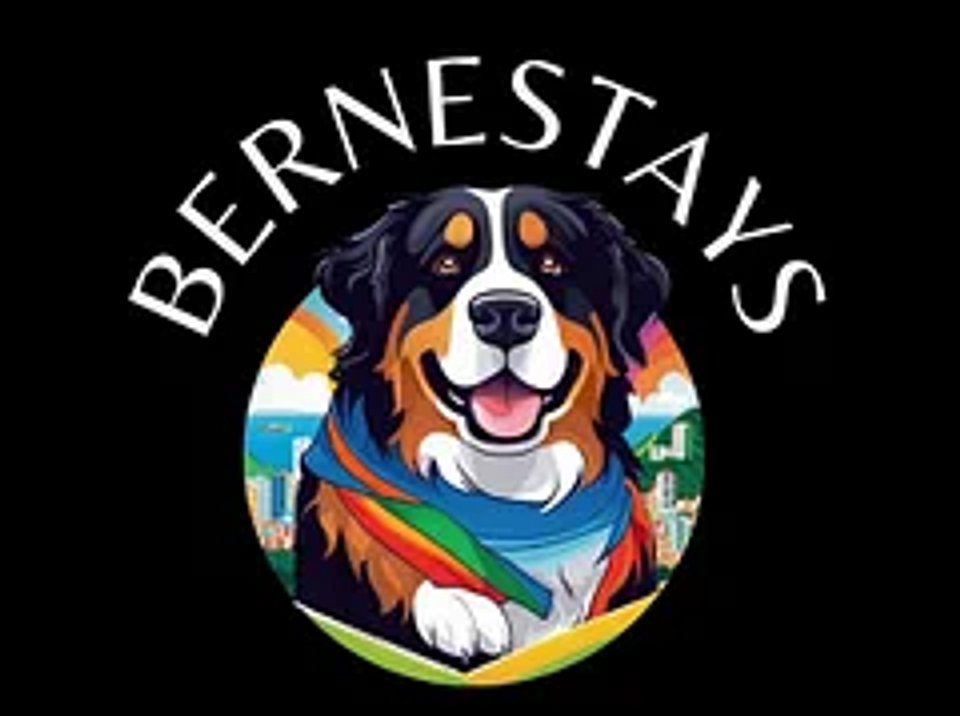 Vinicius Ferreira Bernestays Temporada Rio